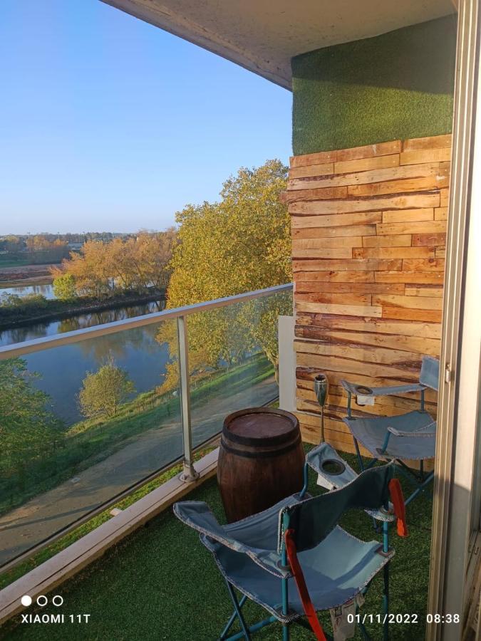 Petit Cocon Vue Sur La Loire Avec Place De Parking Offerte Orleans Exterior photo